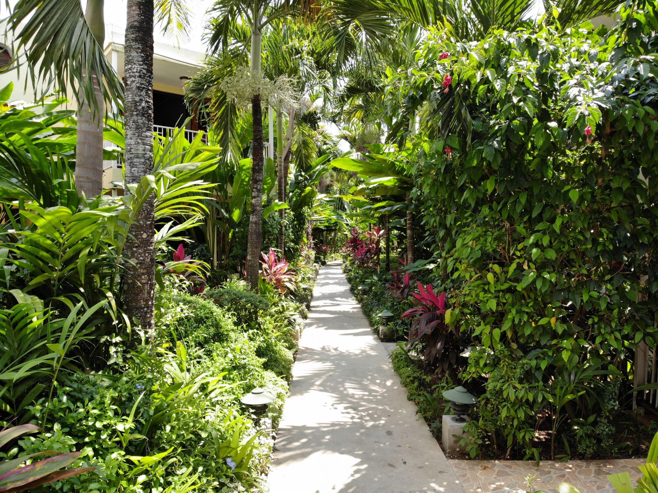 Hotel Negril Palms Exterior foto